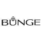 BUNGE-Cinza