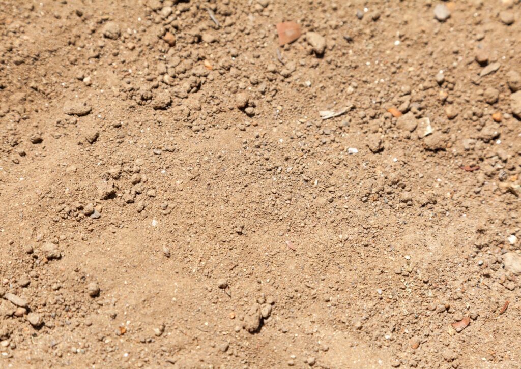 tipos de solo arenoso